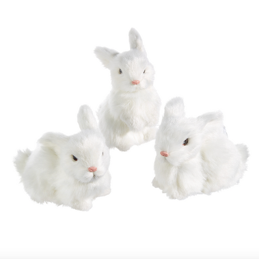 5.25" White Rabbit