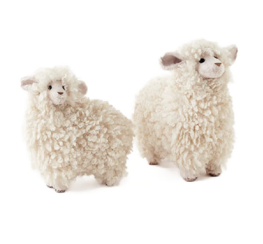 Fluffy Wool Sheep