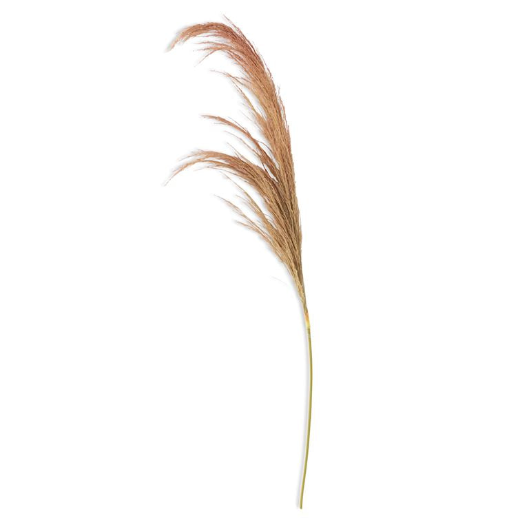 47 Inch Dried Beige Pampas Stem