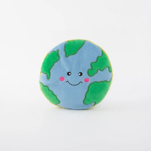 Earth Squeakie Pattiez Dog Toy