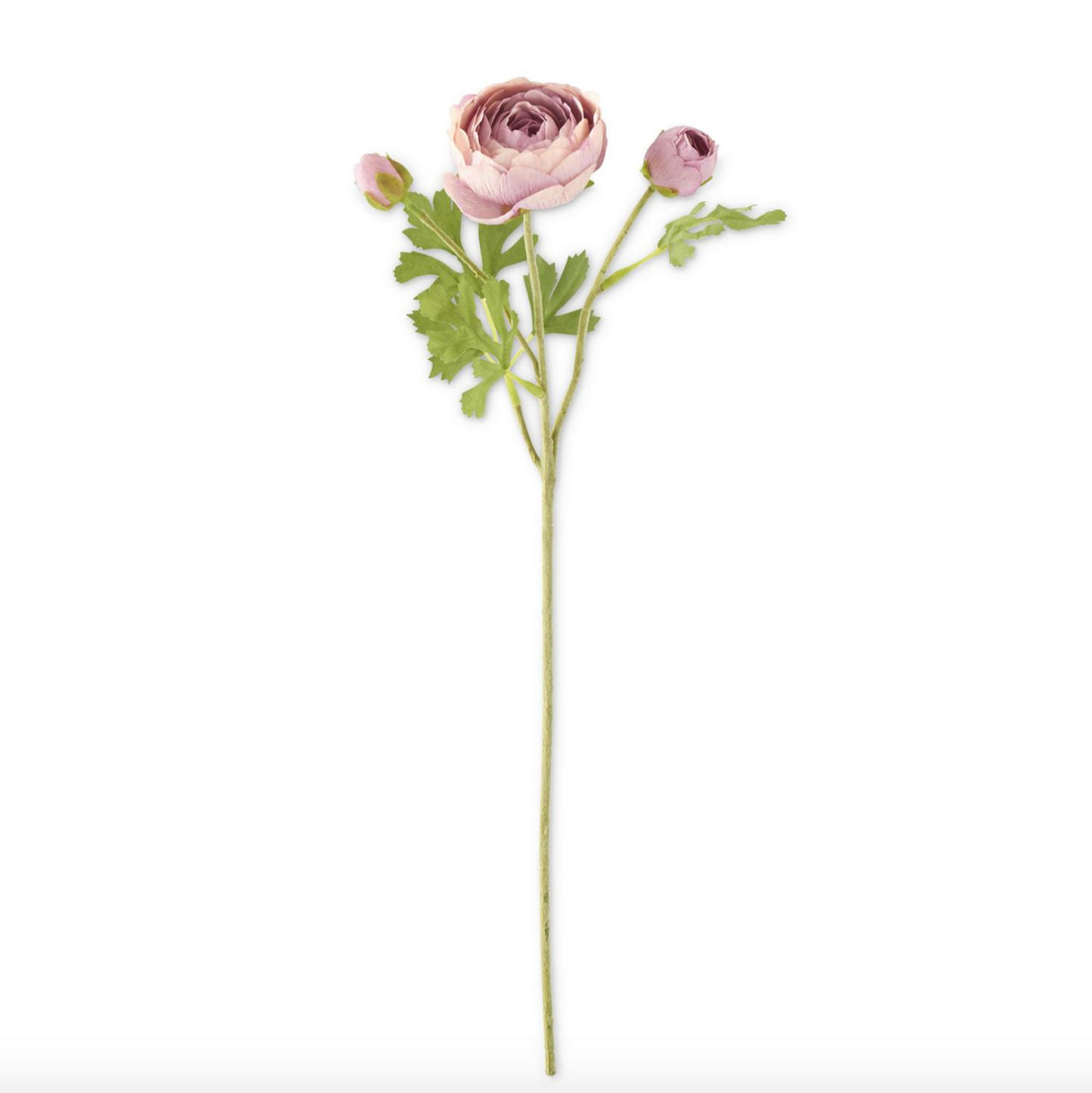 21 Inch Light Purple Real Touch 3 Head Ranunculus Stem