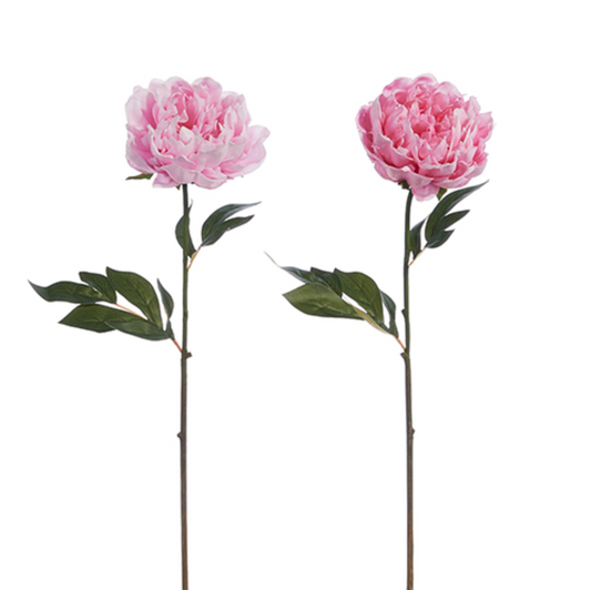 25" Real Touch Peony Stem