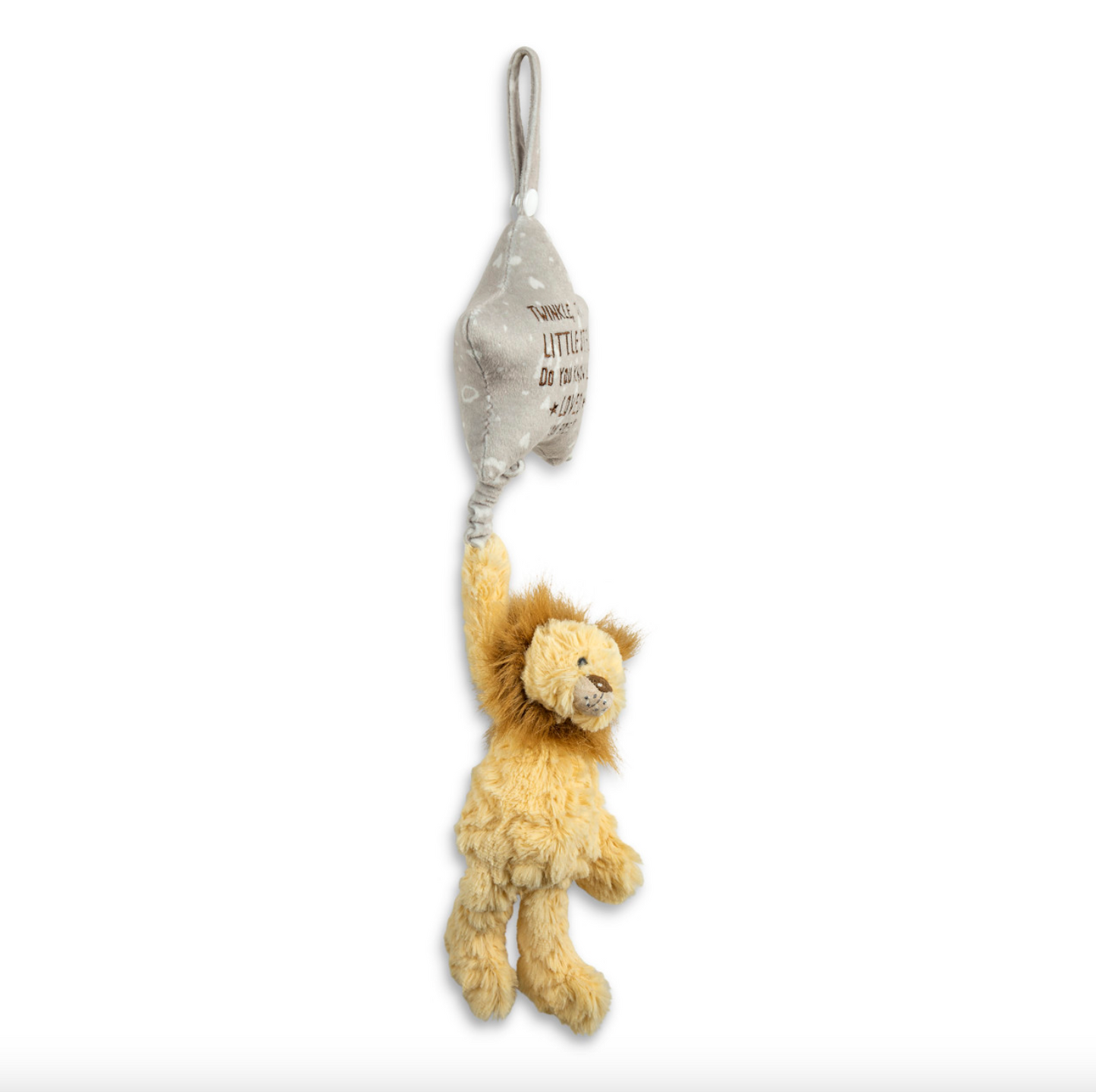 Lion Musical Pull Toy