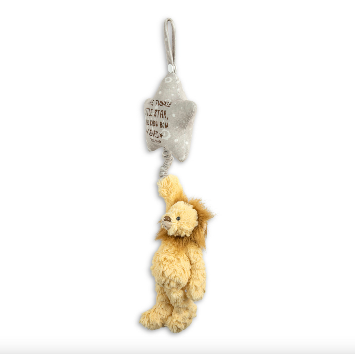 Lion Musical Pull Toy